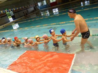 チャンピオン藤枝の特性 チャンピオン藤枝